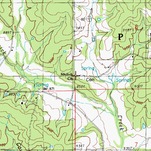 Topographic Map of Shiloh Church, MO
