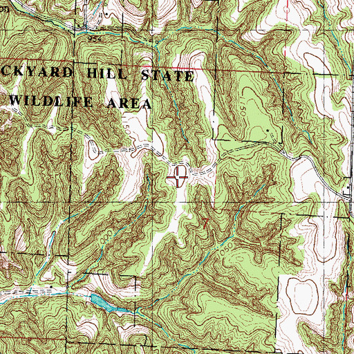 Topographic Map of Brickyard Hill State Wildlife Area, MO