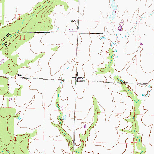 Topographic Map of Willow Branch School (historical), MO