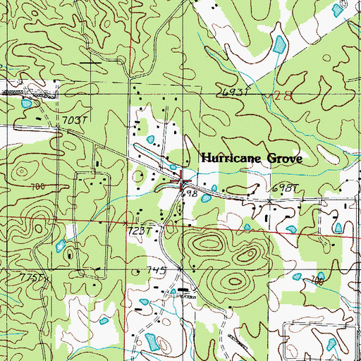 Topographic Map of Hurricane Grove, AR