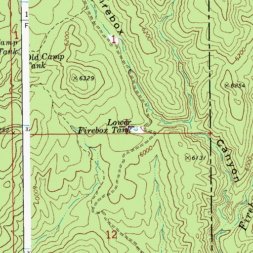 Topographic Map of Lower Firebox Tank, AZ