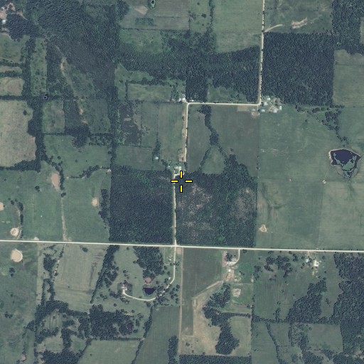 Aerial/Satellite Image of Mitchell School (historical), MO