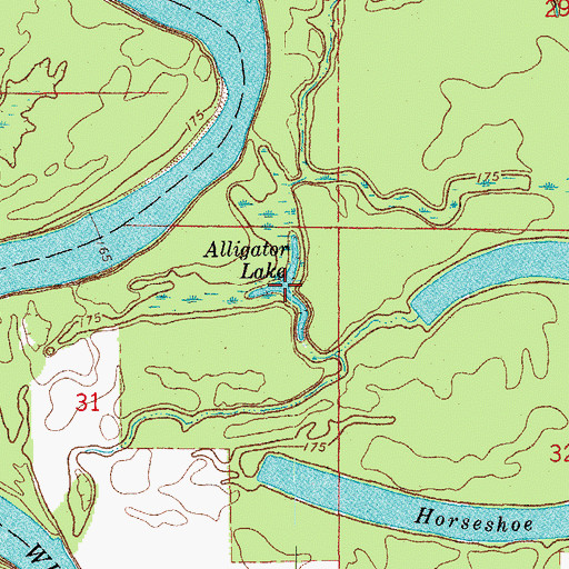 Topographic Map of Alligator Lake, AR