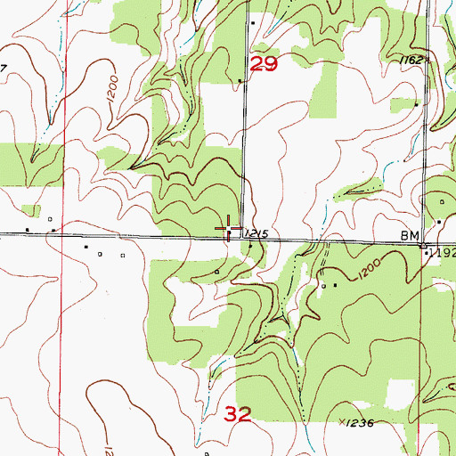 Topographic Map of Freedom School (historical), MO