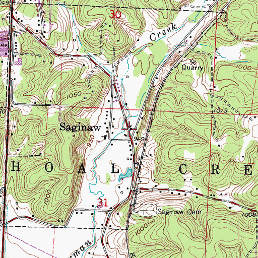 Topographic Map of Saginaw School (historical), MO