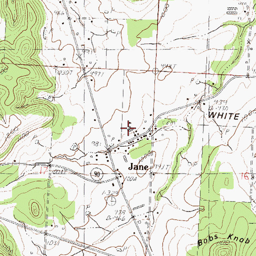 Topographic Map of White Rock School (historical), MO
