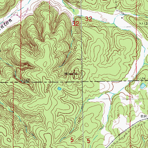 Topographic Map of Benton Creek Mine, MO