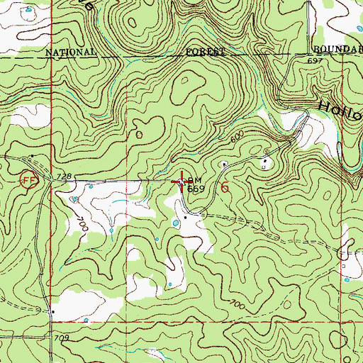 Topographic Map of Morgan School (historical), MO