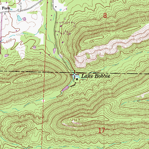 Topographic Map of Lake Bobbie, AR