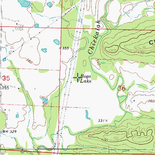 Topographic Map of Bogs Lake, AR