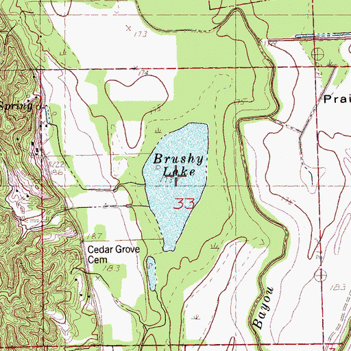 Topographic Map of Brushy Lake, AR