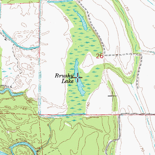 Topographic Map of Brushy Lake, AR