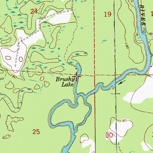 Topographic Map of Brushy Lake, AR
