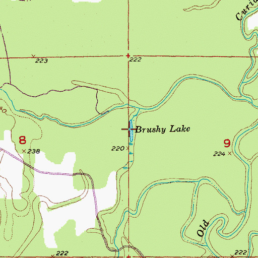 Topographic Map of Brushy Lake, AR