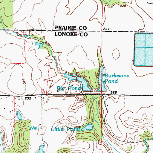 Topographic Map of Burlesons Pond, AR