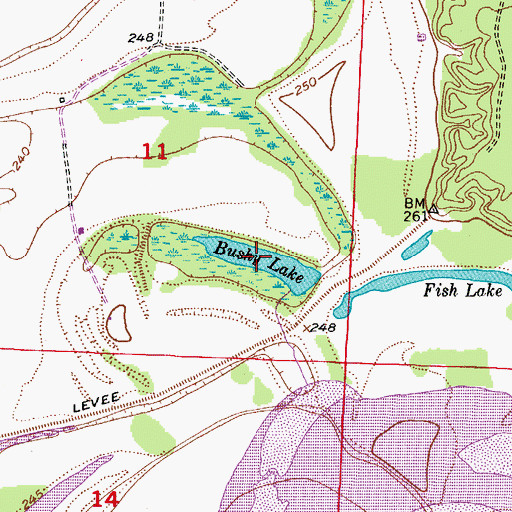 Topographic Map of Bushy Lake, AR