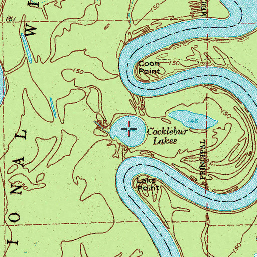 Topographic Map of Cocklebur Lakes, AR