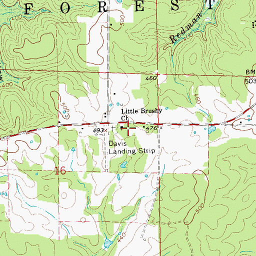Topographic Map of Little Brushy School (historical), MO