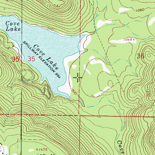 Topographic Map of Cove Lake, AR