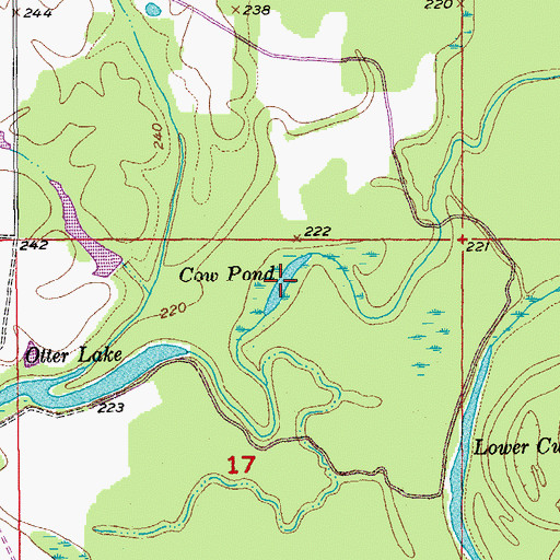 Topographic Map of Cow Pond, AR