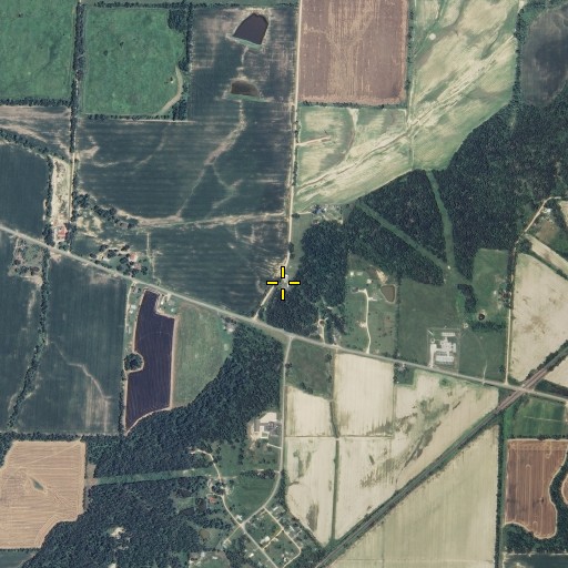 Aerial/Satellite Image of Bluff School, MO