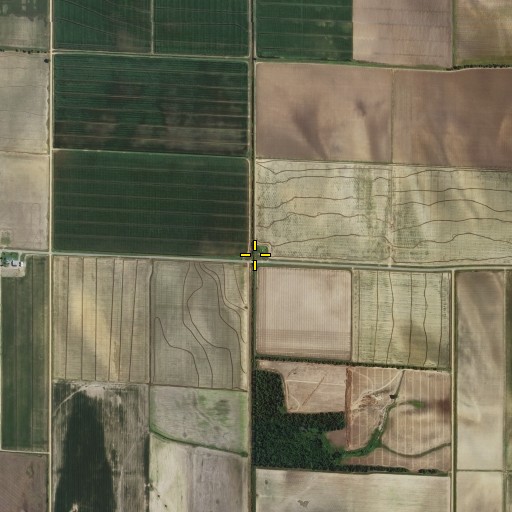 Aerial/Satellite Image of Tanner School, MO