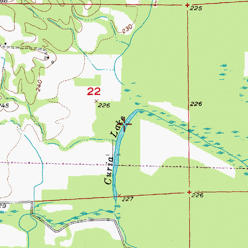 Topographic Map of Curia Lake, AR