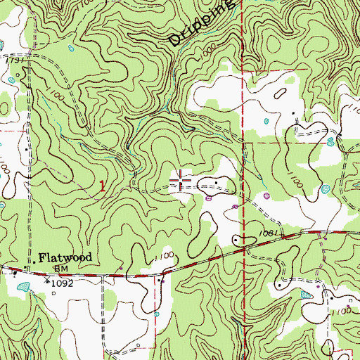 Topographic Map of Flatwoods School, MO