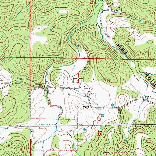 Topographic Map of De Weese School, MO
