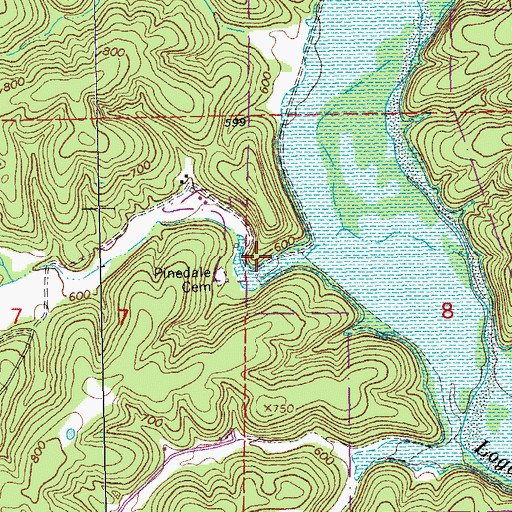 Topographic Map of Pinedale School (historical), MO