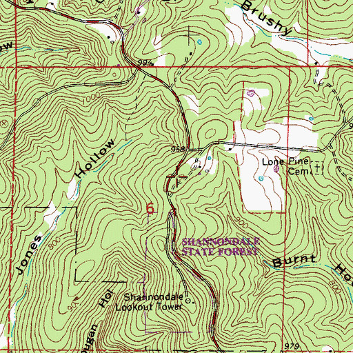 Topographic Map of Lone Pine Church (historical), MO