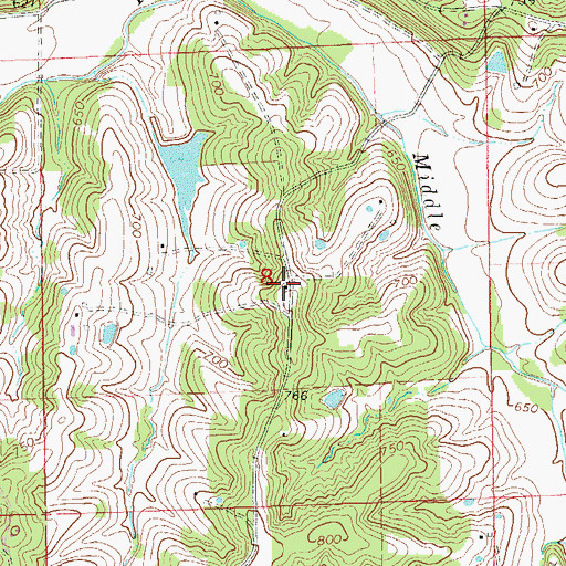 Topographic Map of Buffalo Ridge School, MO