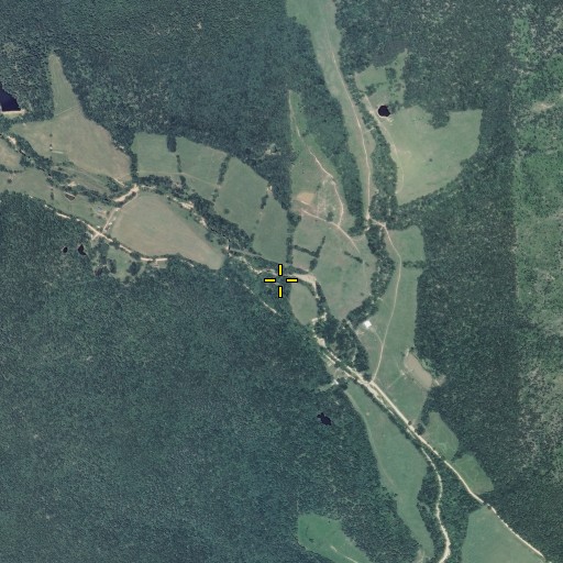 Aerial/Satellite Image of Hickory Grove School (historical), MO