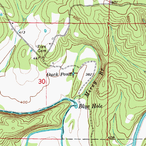 Topographic Map of Duck Pond, AR