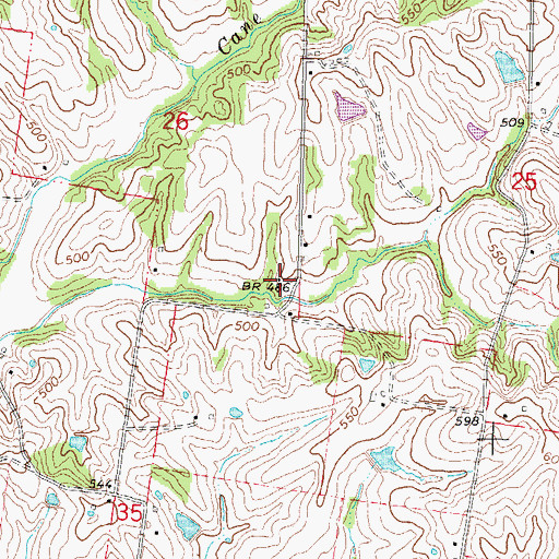 Topographic Map of McFerron School, MO
