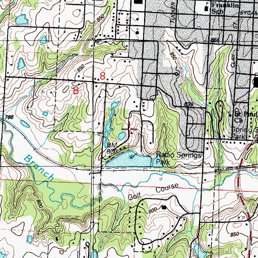 Topographic Map of Radio Springs Park, MO