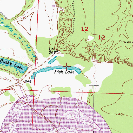 Topographic Map of Fish Lake, AR