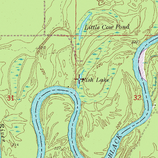 Topographic Map of Fish Lake, AR