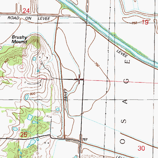 Topographic Map of Brushy Mound Lake (historical), MO