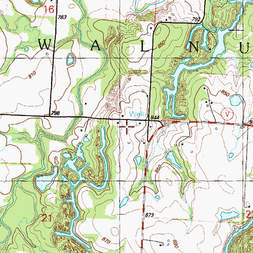 Topographic Map of Old Walnut School (historical), MO