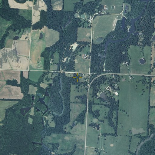 Aerial/Satellite Image of Old Walnut School (historical), MO