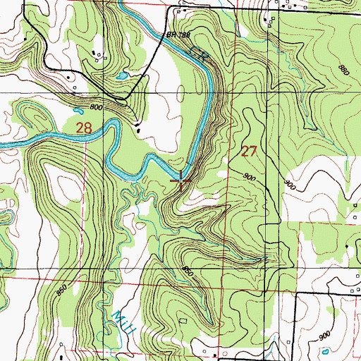 Topographic Map of Mill Branch, MO