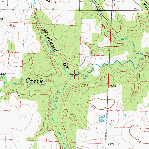 Topographic Map of Wieland Branch, MO