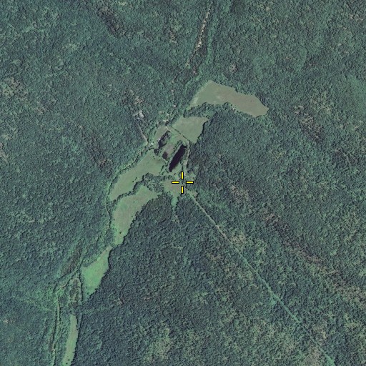Aerial/Satellite Image of Alec Hollow, MO