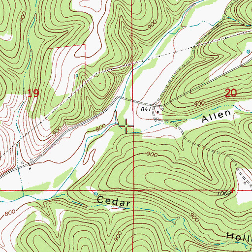 Topographic Map of Allen Hollow, MO