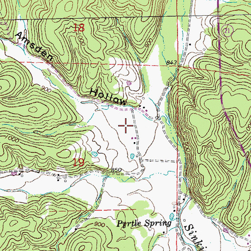 Topographic Map of Amsden Hollow, MO
