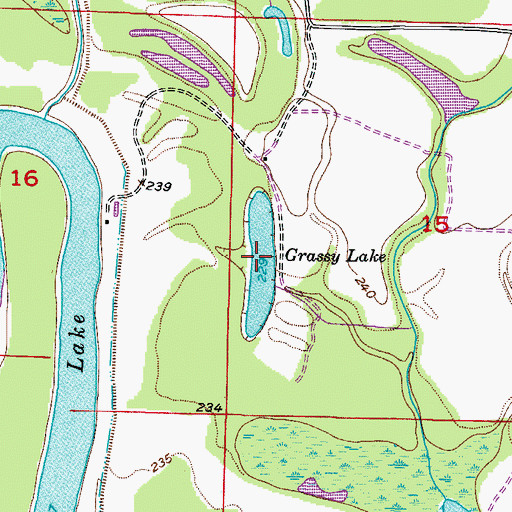 Topographic Map of Grassy Lake, AR