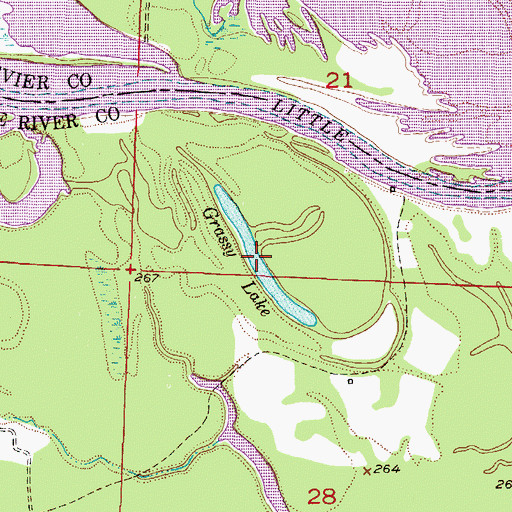Topographic Map of Grassy Lake, AR