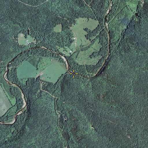 Aerial/Satellite Image of Arnault Branch, MO