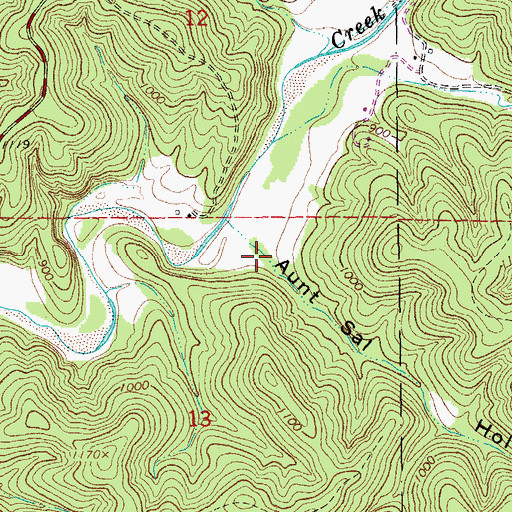 Topographic Map of Aunt Sal Hollow, MO